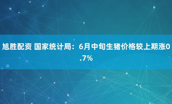 旭胜配资 国家统计局：6月中旬生猪价格较上期涨0.7%