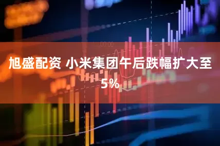 旭盛配资 小米集团午后跌幅扩大至5%